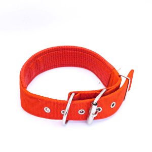 Dog collars