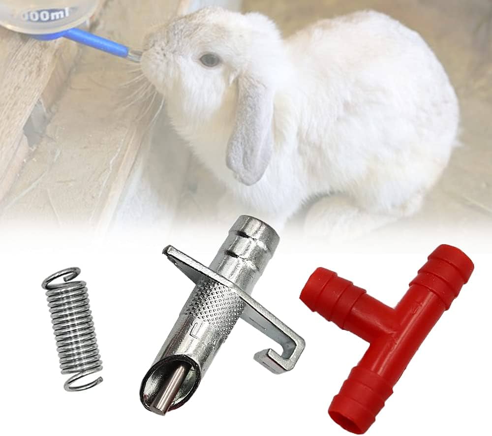 Rabbit Nipples