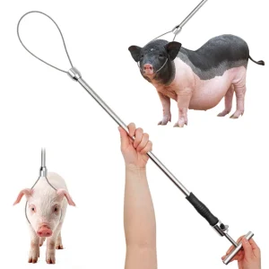 Pig restrainers/ catcher