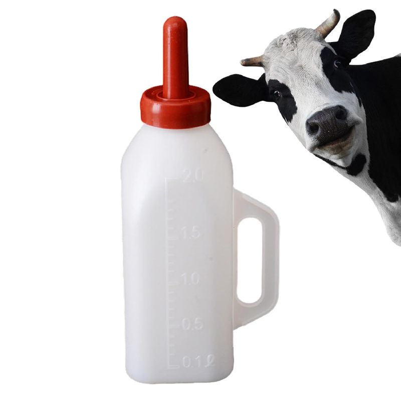 Cattle Calf Cow feeding bottle