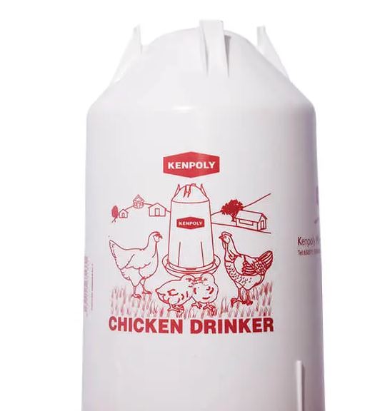 Kenpoly Chicken Drinkers NO 4 - Image 2